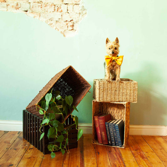 Storage baskets & box