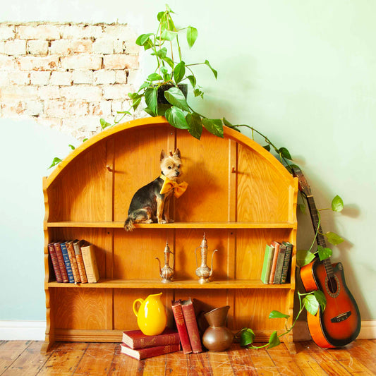 Oak shelf