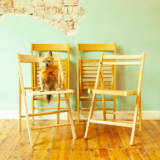 Wooden Folding Chairs