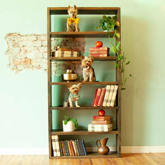 Tall bookshelf