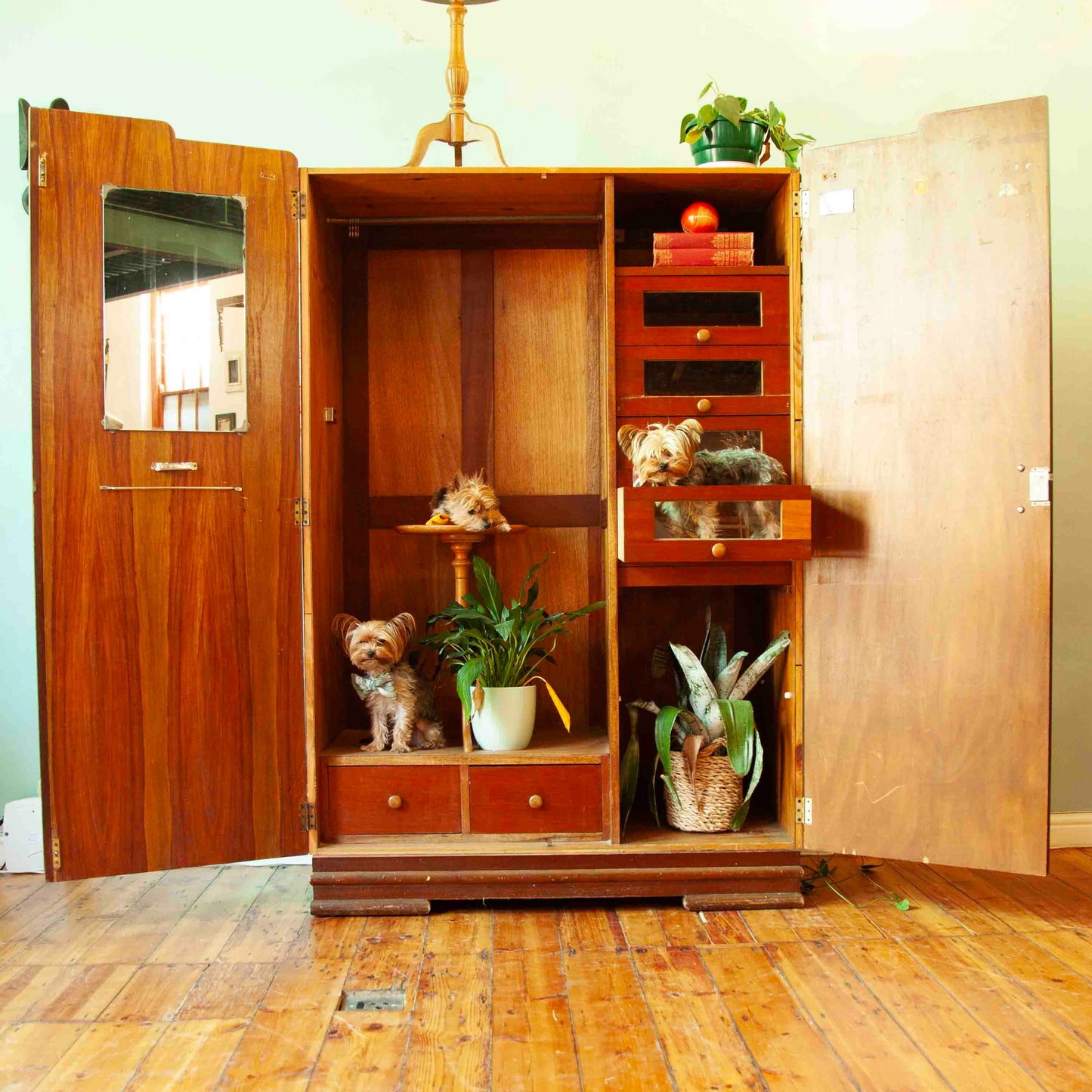 Original Camphor wardrobe