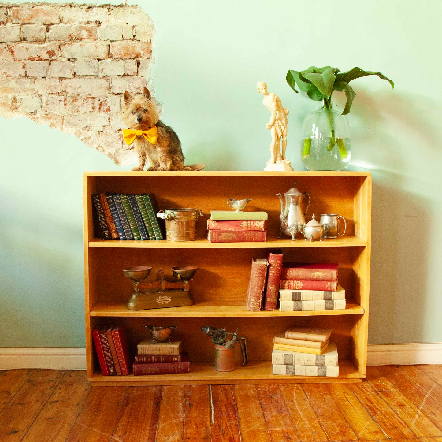 Bookshelf