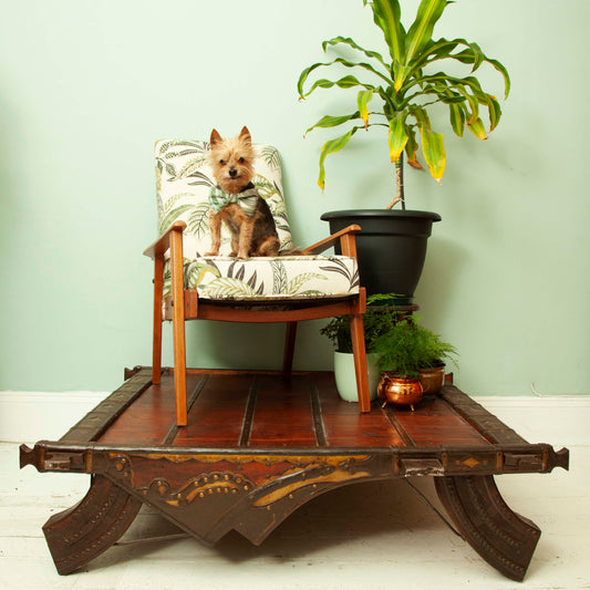 Antique Tibetan coffee table