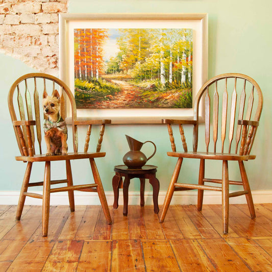 Windsor carver chairs