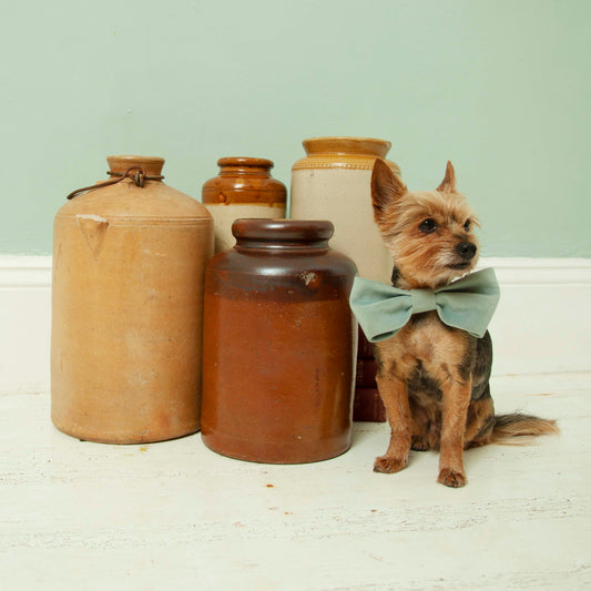 Stoneware jars